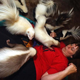 Illustration for article titled Inspired by the Bridal Party Racoon post: Rare Pets